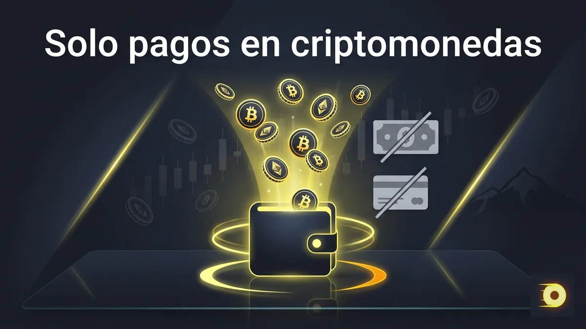 Flujo de criptomonedas sin pesos chilenos ni tarjetas, pagos solo cripto en Rollbit Chile